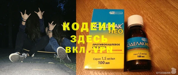 PSILOCYBIN Осинники
